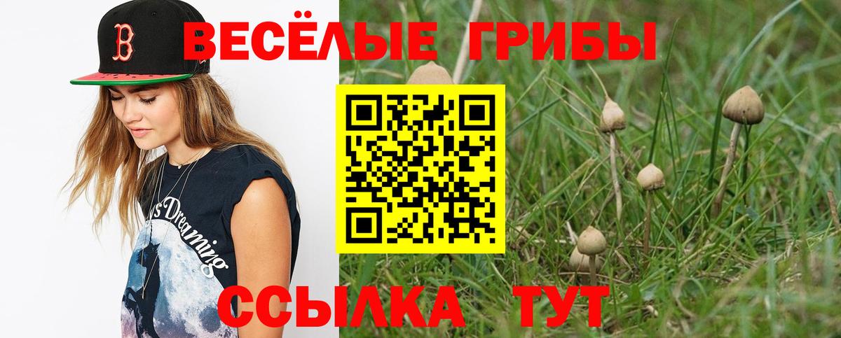 Лысьва  купить  сайты  Вход с VPN  Псилоцибиновые грибы прущие грибы 